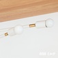gram eight LED電球 E26　G50の写真