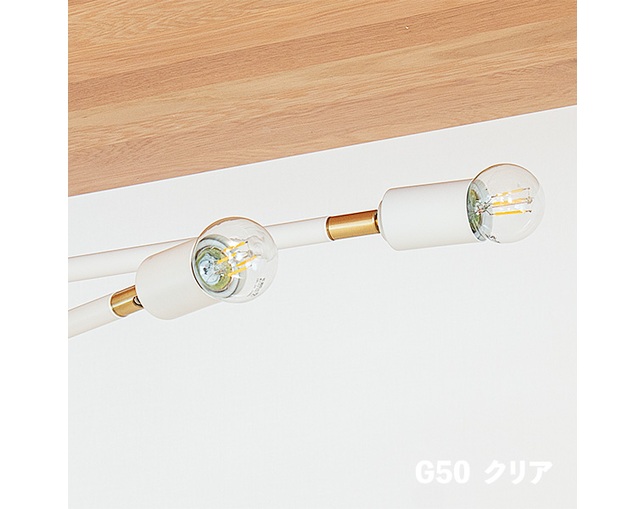 gram eight LED電球 E26　G50の写真