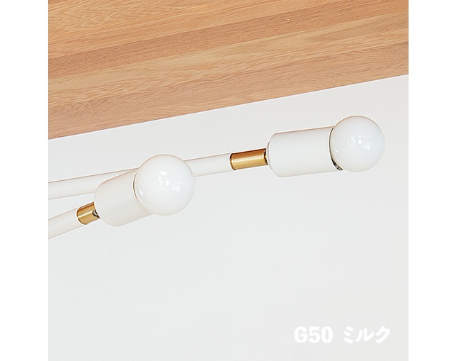 gram eight LED電球 E26　G50の写真