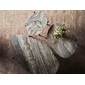 WOUD La Terra オケージョナルテーブル Smallの写真