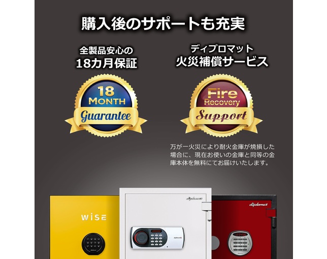 ディプロマット・ジャパン DPS7000GBの写真