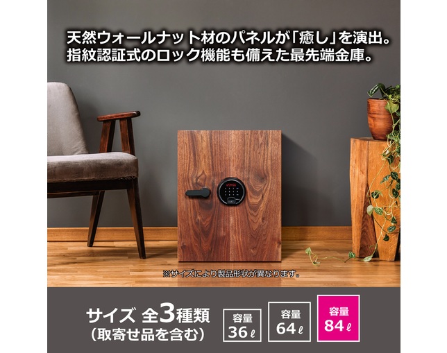 ディプロマット・ジャパン DBAUM800の写真