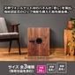 ディプロマット・ジャパン DBAUM500の写真