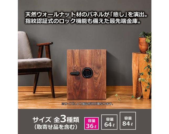 ディプロマット・ジャパン DBAUM500の写真