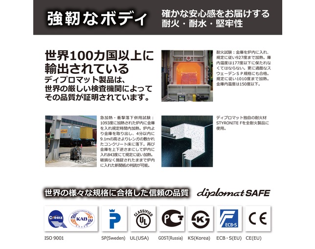 ディプロマット・ジャパン WS500ALDGの写真