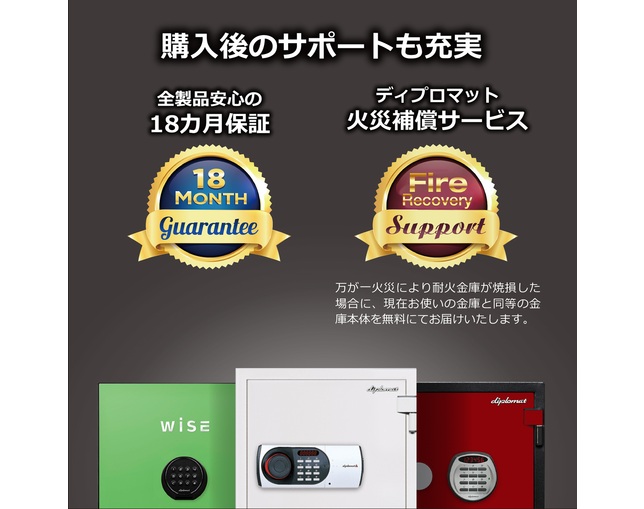 ディプロマット・ジャパン WS500ALDGの写真