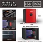 ディプロマット・ジャパン WS500ALRの写真