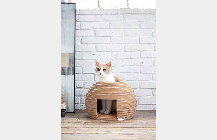 年に一度のTHANKS FAIR 2022「フランスベッド大感謝祭」のカルーセル画像12