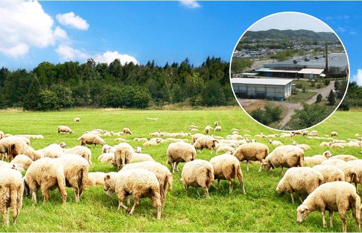 ペルシャ絨毯シルクロードフェア&ムートンフェア in 吹上ホール 1/10～1/13のカルーセル画像7