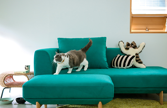 カリモク家具 お台場ショールーム　9/27～9/28「インテリアフェア」のカルーセル画像6