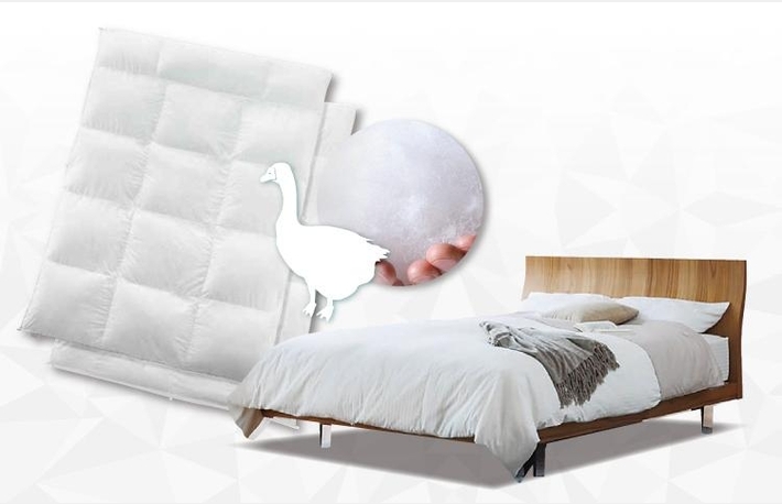 初売り　家具フェア　カリモク高松ショールーム　1/3～1/12のカルーセル画像8