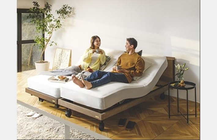 新品実勢価格10万円以上◆フランスベッド◆ソファベッド◆アルマ◆ブラウン◆美品 2025年最新】FRANCEBED ソファベッドの人気アイテム - メルカリ