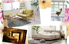 カリモク&フランスベッド合同フェア 11/1~11/9のメイン画像