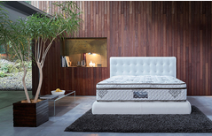 5周年記念 SALE　1/10～2/8のメイン画像