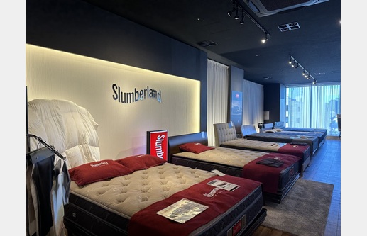 亀屋家具 ギャラリー銀座店(旧 +COMFORT GALLERY GINZA)の画像13