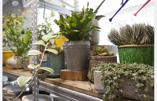 【移転】ジャーナルスタンダードファニチャー 渋谷店の画像13