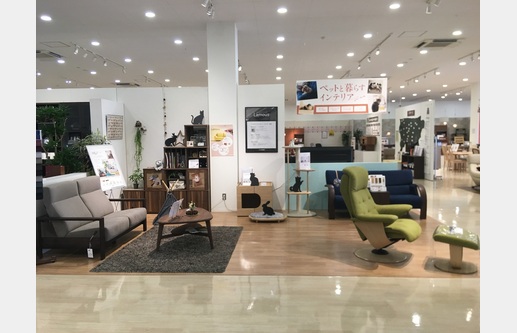 カリモク家具 多摩ショールームの画像17